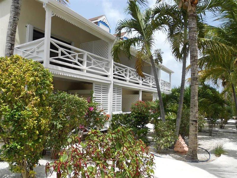 Caribbean Paradise Inn Grace Bay Exterior photo